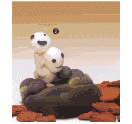 Plush Kodama